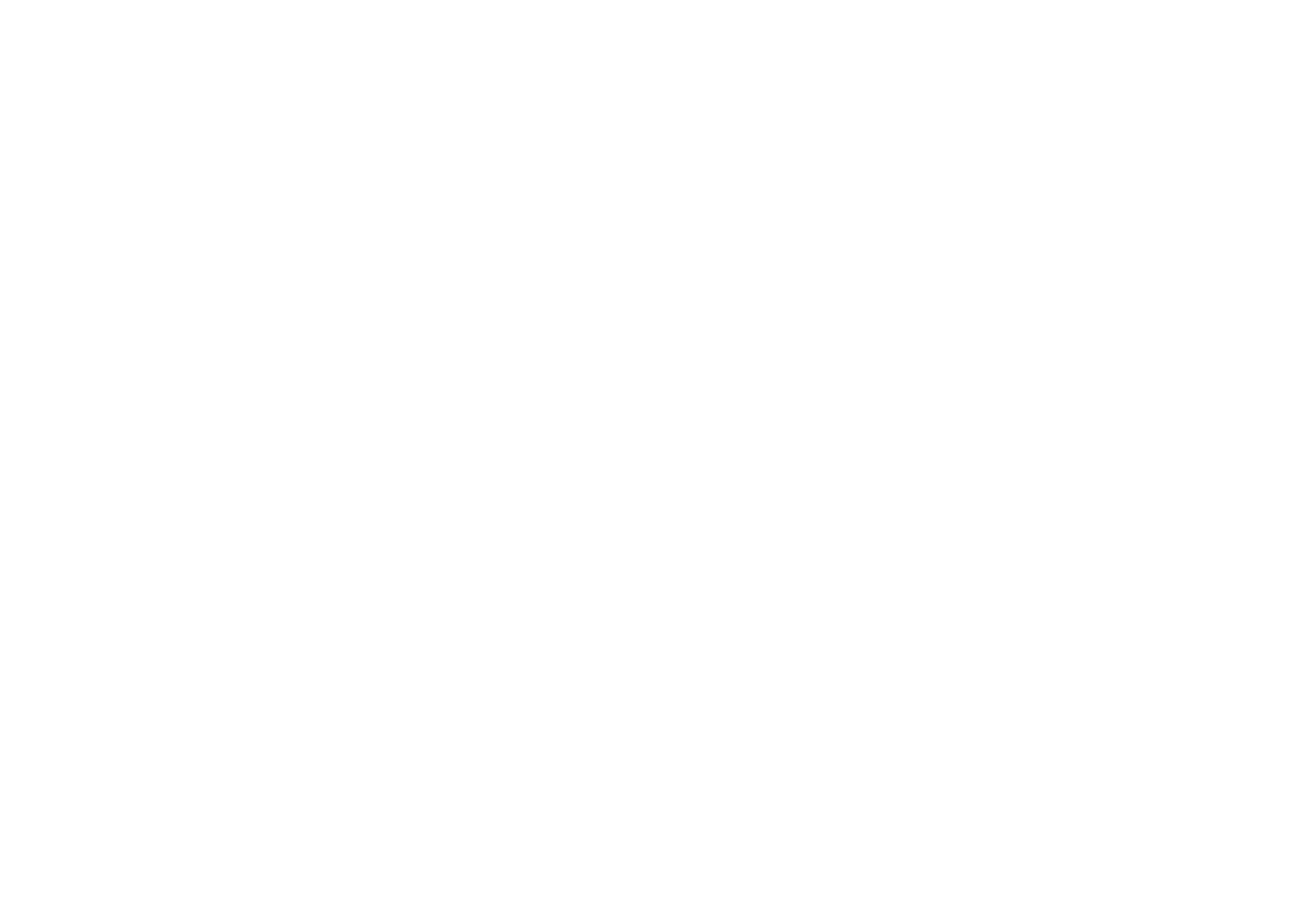 The Aesthetic Firm logo